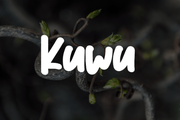 Discover Kuwu: The Versatile Typeface for Modern Design