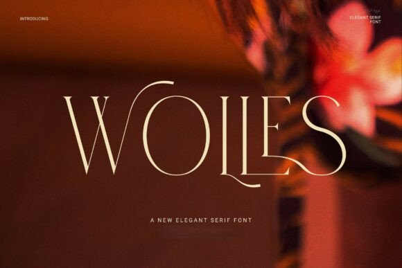 Discover Wolles Elegant Modern Serif