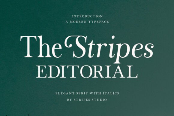 Elevate Your Brand with The Stripes Editorial