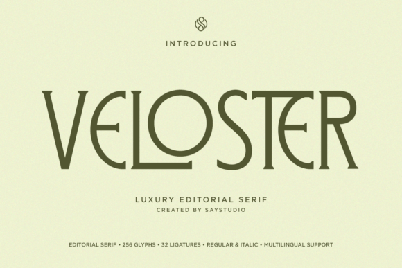 Veloster: Elevating Your Brand with Timeless Elegance